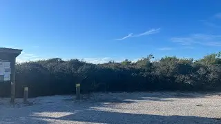 Grayton Beach State Park scene from Beach Access from Cabins area