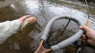 Dry fly fishing the River Yeo  CFFC