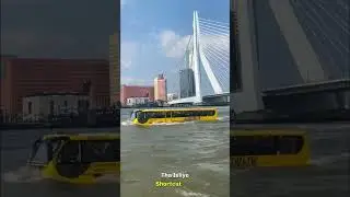 This Driver Took A Risk And Drove A Bus Through A River