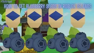 HOW TO GET Blueberry Seeds In Roblox Islands