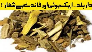 Berberis Aristata/Darhald's AMAZING Healing Power | More Details in Description | Ubqari Medicine