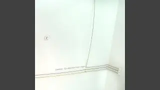 OPPS
