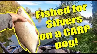 LIVE MATCH FISHING 2022 // Trinity Waters // Feeder fishing // Pole fishing