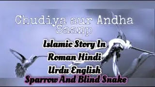 Sparrow and blind snake(chudiya aur Andha Saanp)islamic story roman Hindi urdu||moral stories