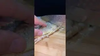 Easy & Fast Salted Herring Recipe #nazaryan #food #campfire #campfirecooking #cooking