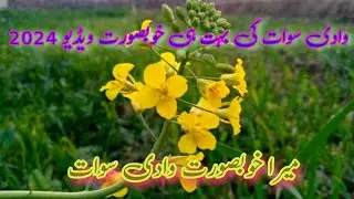 Swat valley 2024 || The upcoming spring in swat pakistan. || @swat Pakistan #swatpakistan