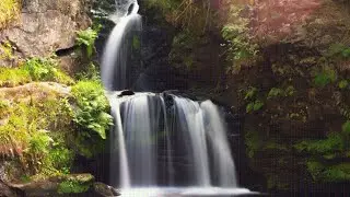Relaxing Waterfall Sounds For Sleeping।Copyright Free Sounds Effect