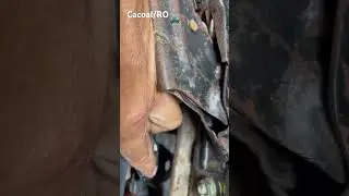 Adaptando bancos na strada cabine estendida   69993409984