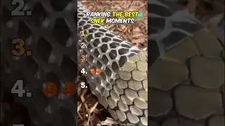 Ranking Best Snake Moments