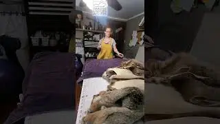 Making a fur blanket Day 1