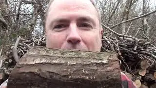 Living History  - the story behind the Yule log