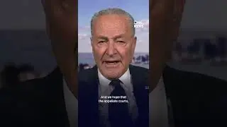 'Our democracy is at risk,' Sen. Schumer says