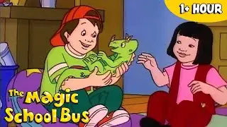 Who Eats Who? | Cartoons for Kids | The Magic School Bus | Scholastic After School