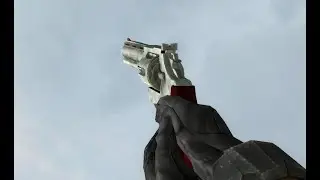 Half Life 2 - real beta flare gun