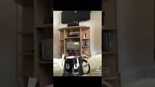 Netflix and Chill