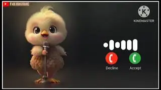 Message Ringtone | Notification Ringtone | Message Tone | Sms Ringtone | Funny Ringtone #funny 