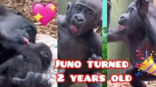 Mjukuu loves her baby so much ❤️Happy birthday baby JUNO!💕