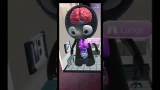 MR body app