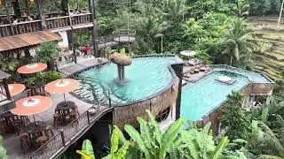 Ubud coffee Club Bali, if you to Bali must visit, absolutely nice place. View Tagallalang ubud