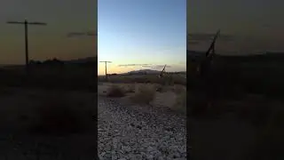 Chaos in Buckeye - AZ Dove Hunt Opening Day
