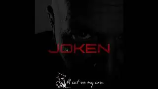 Joken - A cat on my arm