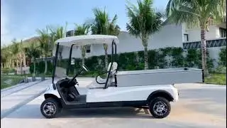Cargo electric Cart & Utility Cart & Golf Cart By Extraordinary Cart