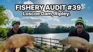 Loscoe Dam FISHERY AUDIT #39.  A Derbyshire Gem of a Fishery