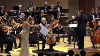 Christina Bouey | Steven Doane - Johannes Brahms Concerto For Violin And Cello in A Minor, Op. 102
