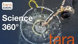 Science 360° à bord de Tara | Tara Europa