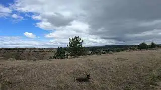 Train Tracks Hike with Neff Madras Oregon 06-07-2020