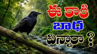 ఈ కాకి బాధ విన్నారా ?//Pastor.Amma Teja Garu...