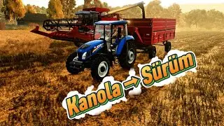 &Ccedil;iftlikte Durmak Yok! Kanola Hasadı Bitti, TD110 ile S&uuml;r&uuml;m Başladı 🚜 #hofbergmann #fs25 #gaming 