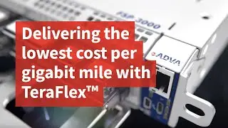Delivering the lowest cost per gigabit mile with TeraFlex&trade;
