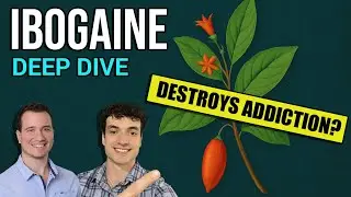 Ibogaine Explained: Science, Benefits, & Dangers of Iboga