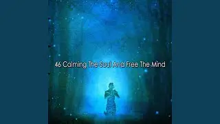 Step Into Peace