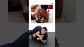 How Legit is Bruce Lee&rsquo;s armbar vs Sammo Hung #shorts