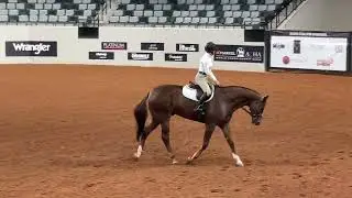 Nutrena Ride the Pattern: верховая езда на охоте