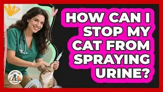 How Can I Stop My Cat From Spraying Urine? - Animal Care Jobs