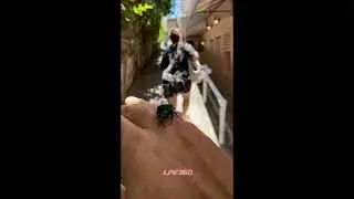 Man scares wife with big green beetle