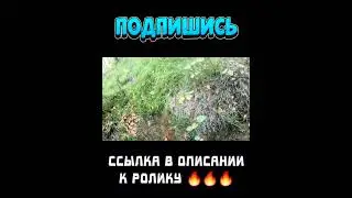 GO PRO 11 лучшая камера для спорта, туризма и рыбалки #shorts