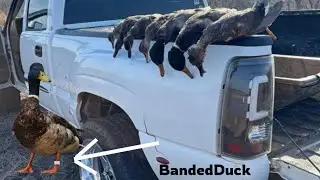 Oklahoma Private Duck Hole (BANDED DUCK)