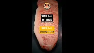 Wagyu in 1&acute;: Japanese Grading system.
