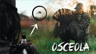 GOBBLER FLYS RIGHT BY MY BARREL | Two INCREDIBLE Florida Osceola Turkey Hunts 