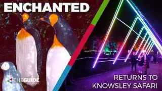 The Guide kids take you to Knowsley Safari's Enchanted