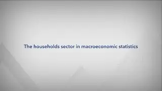 The households sector in macroeconomic statistics