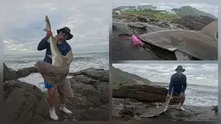 SHARK Fishing of the rocks/beach in South Africa 🦈🇿🇦