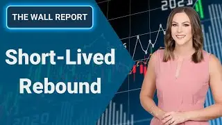 Wall Street's Short-Lived Rebound