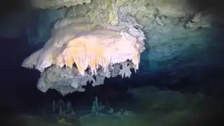 Cenote Caterpillar - Rasta Divers Production
