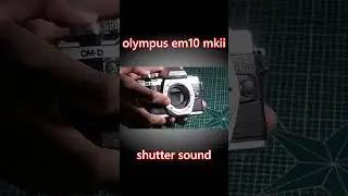 olympus em10 mkii shutter sound #shorts #photography #camera #olympus #photo #m43