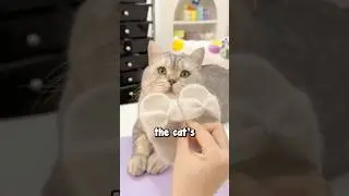Cute Cat Fur Slippers For a Baby 🥹❤️